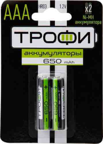 Аккумуляторы Трофи HR03-2BL 650mAh ААА 1.2В 2шт арт. 673985