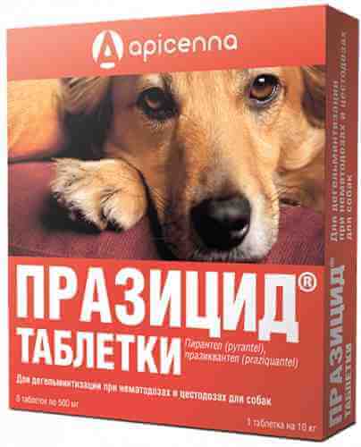 Антигельминтик для собак Празицид для собак 6таб*500мг арт. 1078433