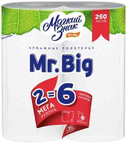 Бумажные полотенца Мягкий знак Mr. Big 2 рулона 2 слоя арт. 855958