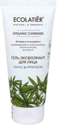 Гель-эксфолиант для лица Ecolatier Organic Cannabis 100мл арт. 1140583