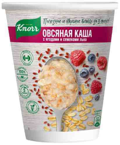 Каша Knorr Овсяная с ягодами и семенами льна 45г арт. 1033299