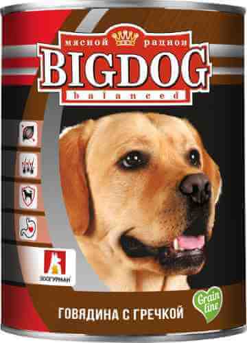 Корм для собак Зоогурман Big Dog balanced Говядина с гречкой 850г (упаковка 9 шт.) арт. 985925pack