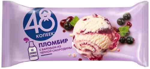 Мороженое 48 Копеек Пломбир Черная смородина 224г арт. 970020