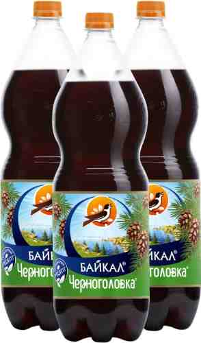 Напиток Черноголовка Байкал 2л (упаковка 3 шт.) арт. 306978pack