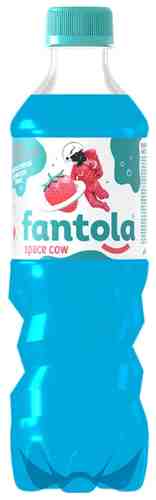Напиток Черноголовка Fantola Space cow 500мл арт. 1043970