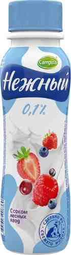 Напиток йогуртный Нежный с соком лесных ягод 0.1% 285г арт. 656309