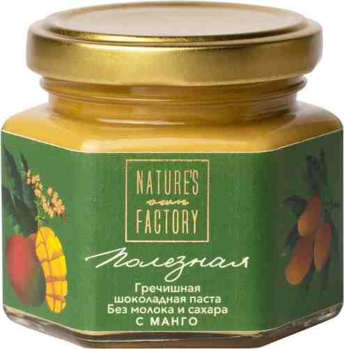 Паста шоколадная Natures Own Factory гречишная без молока и сахара с манго 120г арт. 1056533