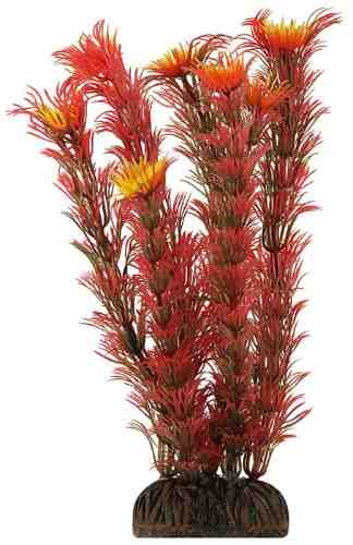 Растение декоративное Laguna Амбулия красная 20см арт. 1217148