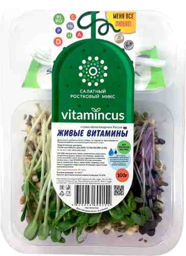 Салатный ростковый микс Vitamincus Живые витамины 100г арт. 1184798