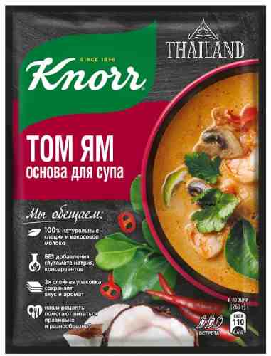Смесь для приготовления Knorr суп том ям 31г арт. 998077