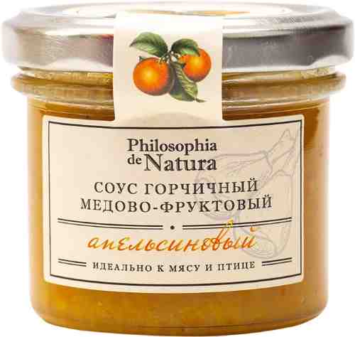 Соус Philosophia de Natura горчичный медово-фруктовый апельсиновый 100г арт. 979112