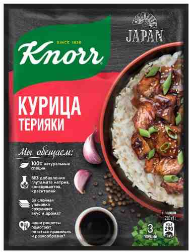 Сухая смесь Knorr для приготовления курицы терияки 28г арт. 998082