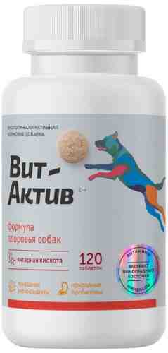 Витамины для собак Фармакс Вит-Актив БАД для здоровья собак 120шт (упаковка 2 шт.) арт. 1190562pack