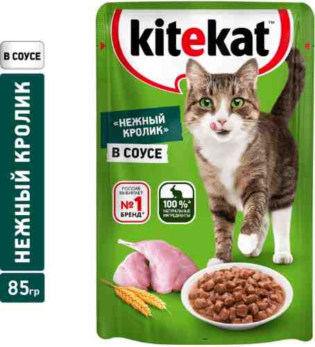 Влажный корм для кошек Kitekat Нежный кролик в соусе 85г арт. 1034364