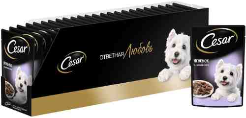 Влажный корм для собак Cesar с ягненком в сырном соусе 85г (упаковка 28 шт.) арт. 988476pack