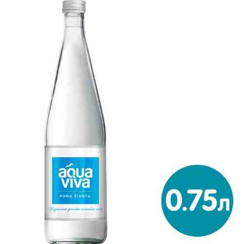 Вода Aqua Viva минеральная природная столовая питьевая негазированная 750мл арт. 1041894
