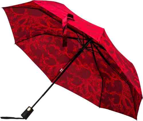 Зонт женский Raindrops полуавтомат DS-62 в ассортименте арт. 313478