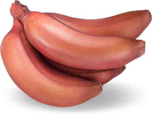 Бананы красные 0.8-1.2 кг арт. 314799