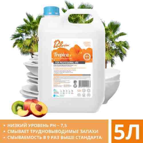 Cредство для мытья посуды Palmia Тропические фрукты 5л арт. 992475