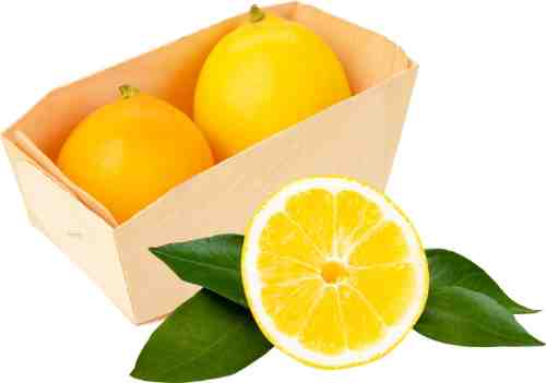 Лимоны Узбекистан 2шт упаковка арт. 316179