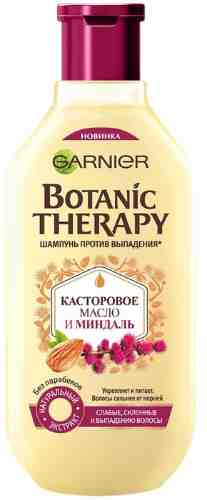 Шампунь для волос Garnier Botanic Therapy Касторовое масло и Миндаль 250мл арт. 331988