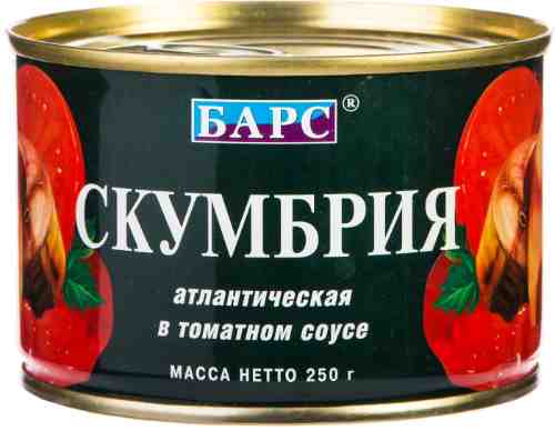 Скумбрия БАРС атлантическая в томатном соусе 250г арт. 313006