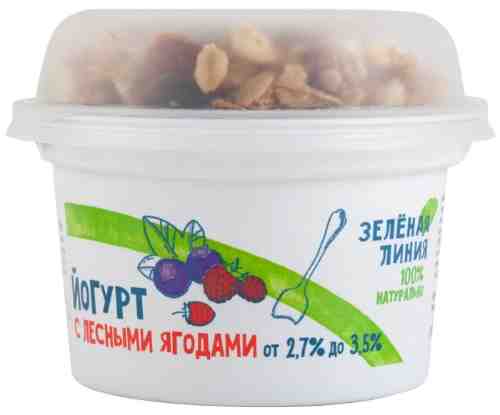 Йогурт Зеленая линия с лесными ягодами и гранолой с изюмом 2.7-3.5% 215г арт. 1011204