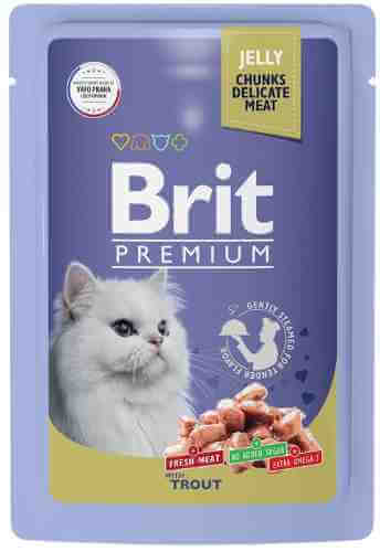 Корм для кошек Brit Premium форель в желе 85г арт. 1196099