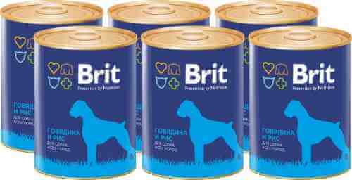 Корм для собак Brit Говядина Рис 850г (упаковка 6 шт.) арт. 948069pack