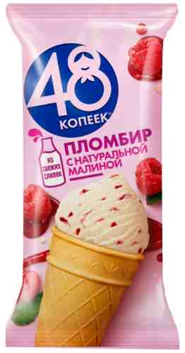 Мороженое 48 Копеек Пломбир с малиной в вафельном стаканчике 91г арт. 975987