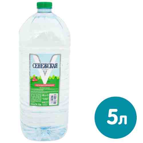 Вода Сенежская питьевая негазированная 5л (упаковка 2 шт.) арт. 523742pack